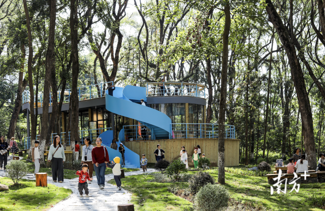 北乡镇森藏BLUE咖啡营地。  受访者供图