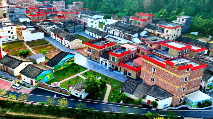 聚焦“土特产”，云城区“百千万工程”绘就城乡蝶变新图景