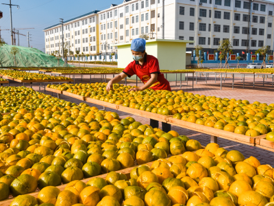 来了！浦北县“AI赋能 智汇浦北”短视频和微短剧创作大赛
