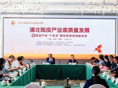 顶尖专家建言献策，2025年浦北陈皮产业高质量发展座谈会举办