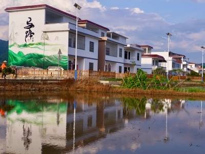 韶关市委书记：“睦邻制”激活基层治理｜市委书记抓乡村振兴2025年度盘点