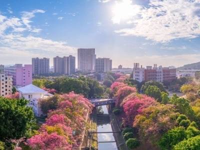 2025“读懂中国”国际会议今起举办