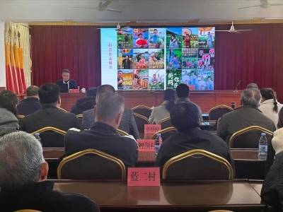 兴宁市新圩镇乡村振兴人才驿站举办油茶丰产栽培技术暨短视频制作培训会
