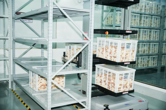 智能机器人进行无接触运输。 智能机器人进行无接触运输。