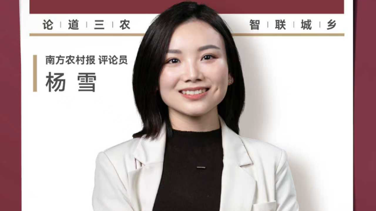 兴农评丨撕开基层干部弄虚作假的“面具”