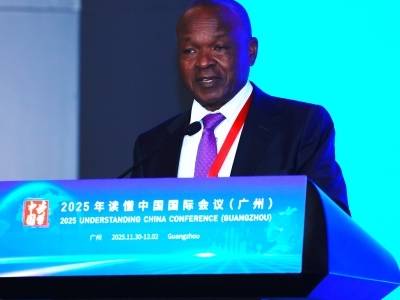 中非未来如何加强合作？非盟委员会前副主席姆温查这么说