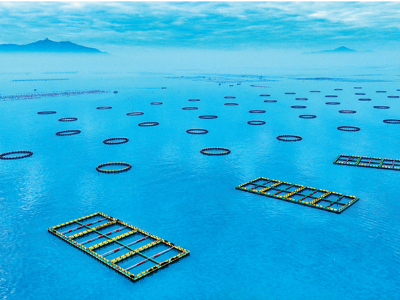 深度调研 | “百千万工程”：如何破题城乡区域发展不平衡