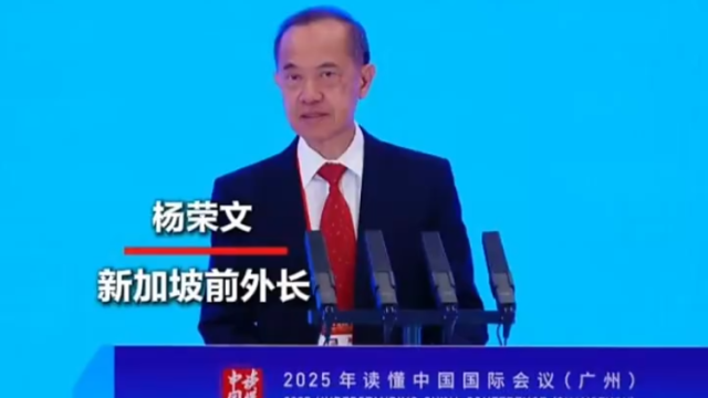 新加坡前外长杨荣文：世界需要更多促成和平的力量