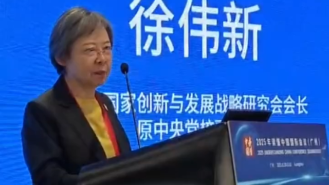 原中央党校副校长徐伟新：广大侨胞是运筹国际空间的重要积极因素