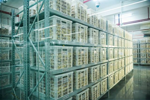 浦北陈皮产业园内的智能仓储仓库。