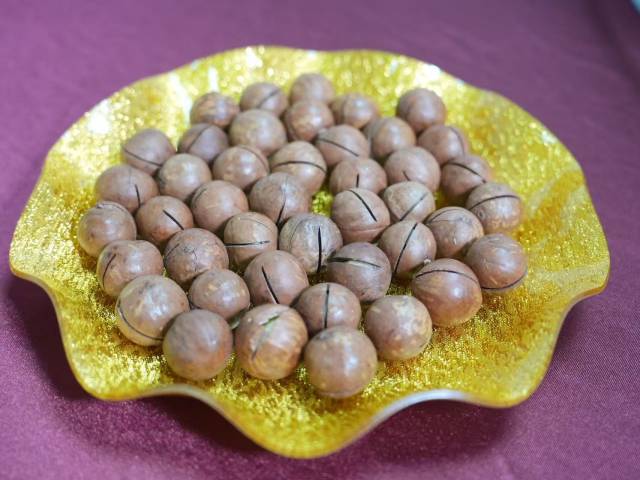 南盛镇的澳洲坚果 南盛镇的澳洲坚果