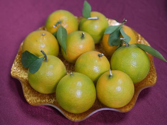 思劳镇城村贡柑 思劳镇城村贡柑