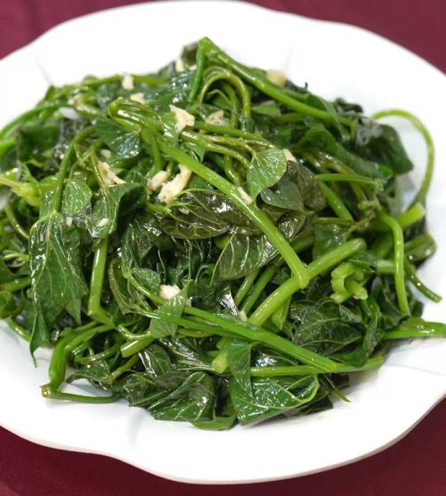 前锋番薯苗 前锋番薯苗