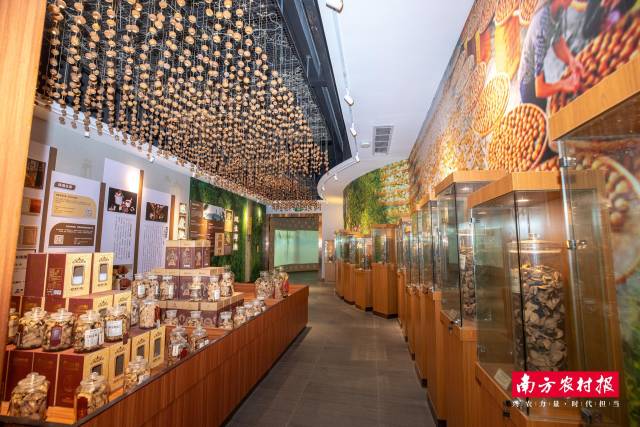新会陈皮文化与产业博览中心展陈实景。