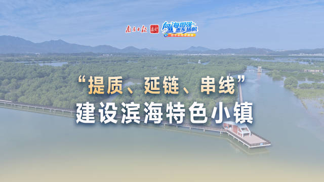 视频｜铁涌镇镇长丘德志：“提质、延链、串线”建设滨海特色小镇
