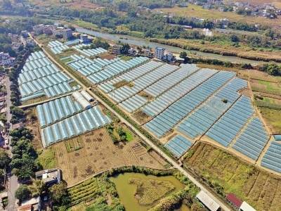 落子“田字格” 下活“兴农棋”！看五华如何破解耕地碎片化困局