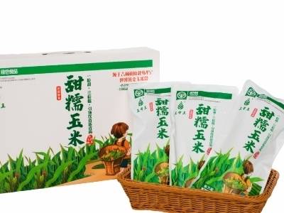 展商风采｜跨越千里山海，优迪食品为大湾区餐桌添黑土鲜香