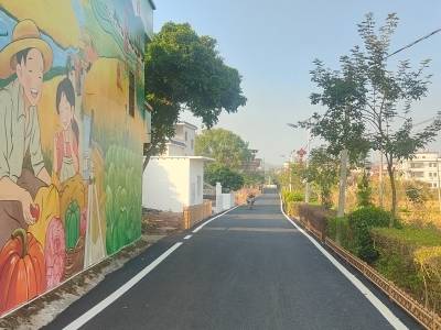 兴宁市新陂镇：党建引领建典型，三新焕新“热气腾”