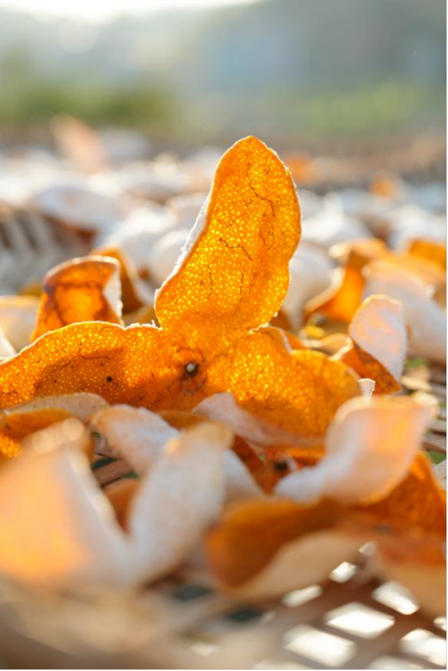 图集 | 初冬浦北风物志：一脉陈香，万象交融