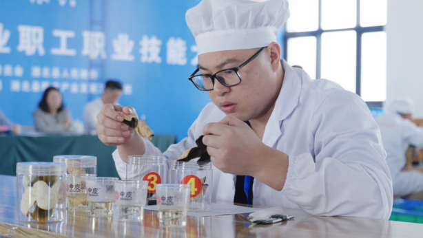 陈皮陈化年份等级鉴别环节。