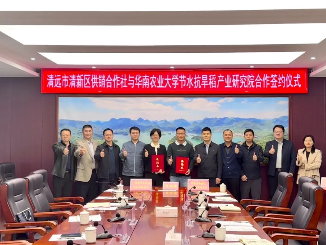 清远市清新区供销合作社与华南农业大学节水抗旱稻产业研究院合作签约仪式现场。华农合作