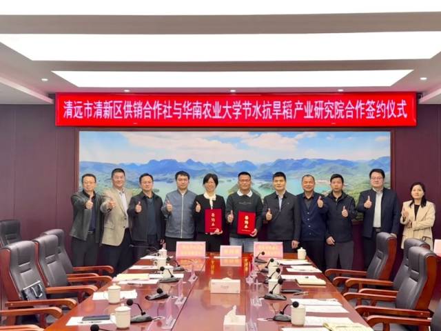 清远市清新区与华农达成合作,打造节水抗旱稻全产业链