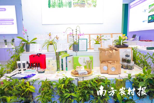 深圳市兰科植物保护研究中心展位摆满了科研成果。 深圳市兰科植物保护研究中心展位摆满了科研成果。