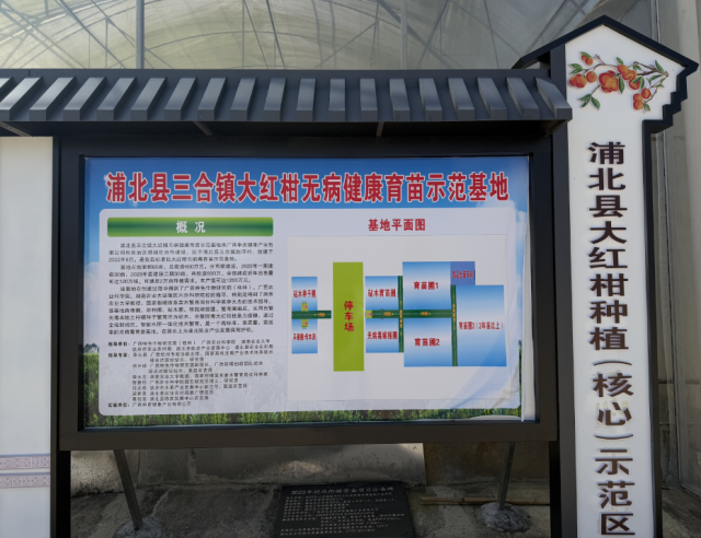 浦北县三合镇大红柑无病健康育苗示范基地。