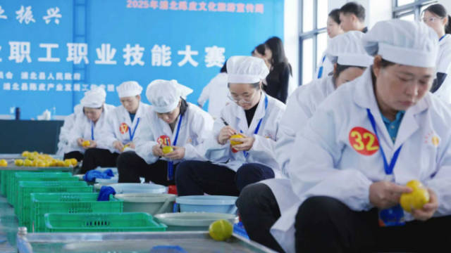 陈皮加工工艺环节。