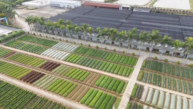 都市中的种业之旅,来广东种博会佛山分会场