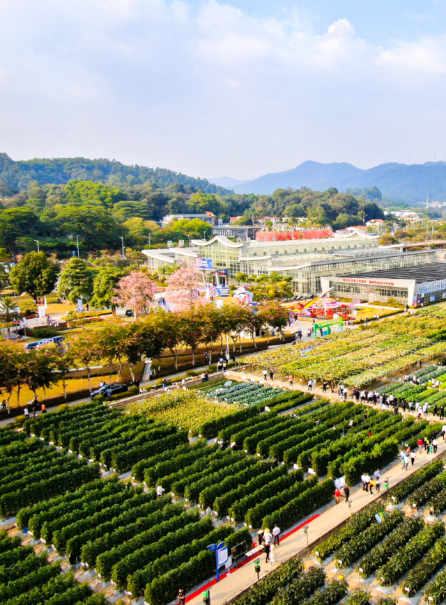 在广州柯木塱，广东种业博览会已成功举办二十三届，成为广东种业发展的风向标、中国种业创新的展示台、瞭望全球种业前沿的智慧窗。