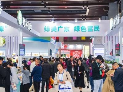 观察丨新脉动 新风口！从广东林博会透视林业高质量发展