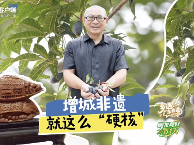 增城非遗，就这么“硬核”！｜粤来粤好百千万