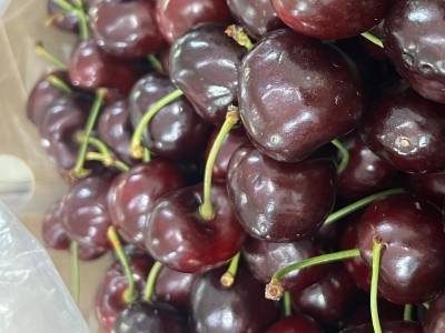 视频｜车厘子自由的季节又来了！南沙龙穴车厘子嘉年华周五美味开集