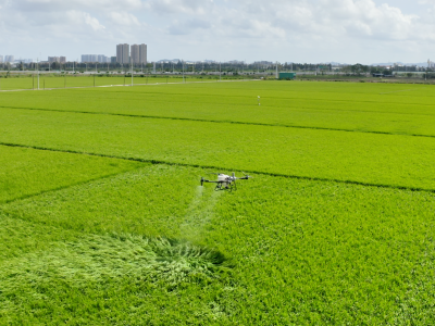 打造两个500亿产业！广州正式发布都市现代农业强市规划
