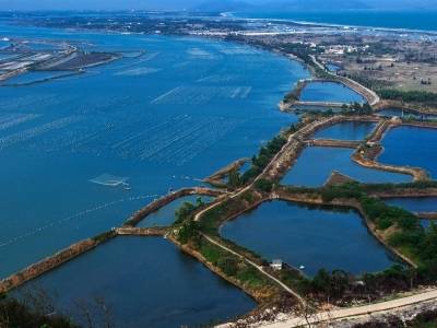 海丰“镇能量”| 大湖镇：生态实践“圈粉”超百万游客