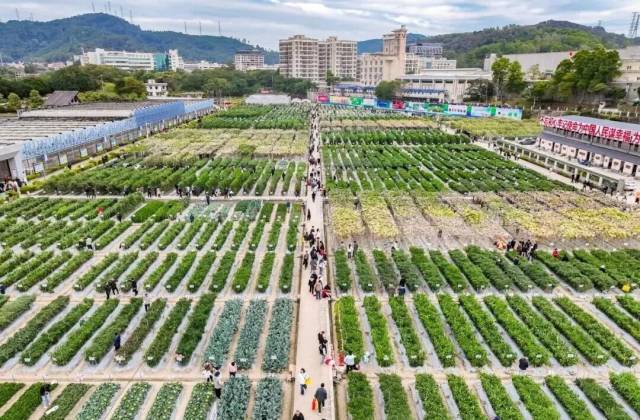 超多亮点!12月10-13日,广东种博会压轴登场