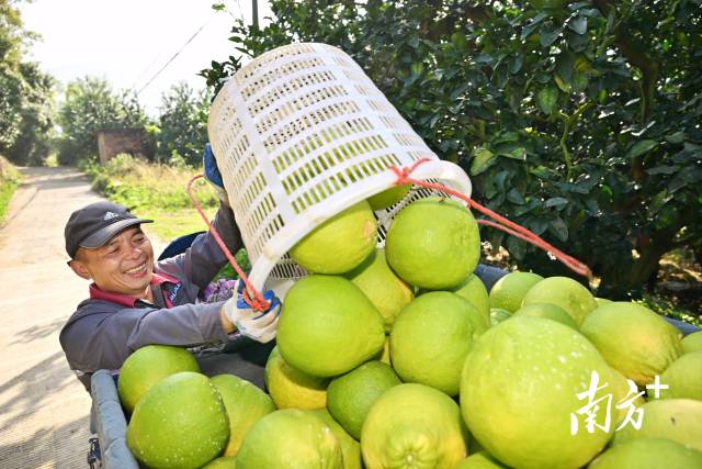 阜阳市：假期餐桌劲吹“光盘风”