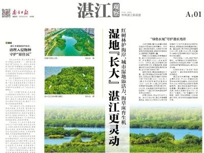 湿地“长大” 湛江更灵动｜速览《南方日报·湛江观察》第186期