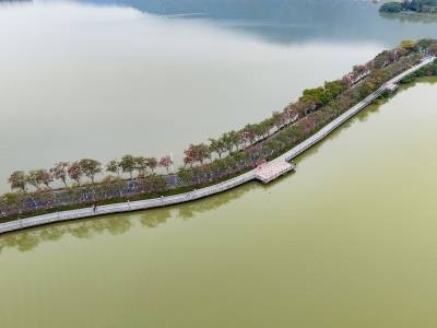 千年古郡 以文塑旅 以旅塑文｜肇庆·振兴