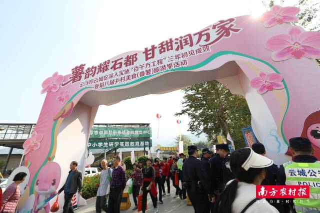 云浮云城：“媒体+”四大行动助力云城番薯高质量发展