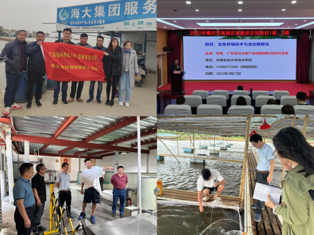 通讯员 蒙丽 供图