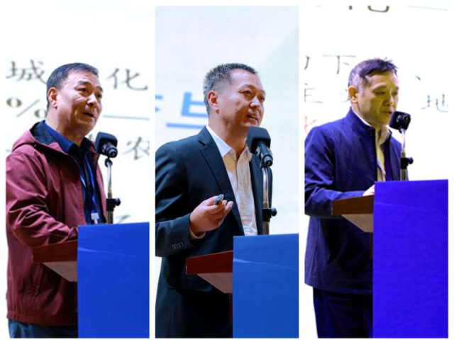 专家做主旨报告  