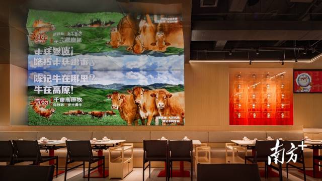 陈记顺和牛肉产自高原牧场，采用2年放养、3岁土黄牛的严格筛选标准，确保肉质鲜嫩。??