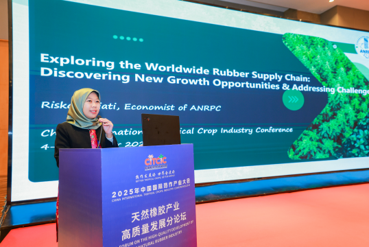 天然橡胶生产国联合会（ANRPC）秘书处经济分析师Riska Pujiati阐述当前全球天然橡胶产业状况。