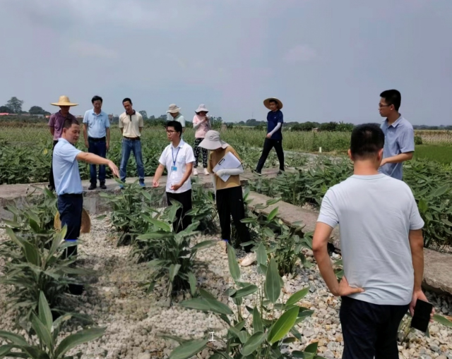 华南农大：绿色引擎与数字驱动  绘就乡村“富春山居图”