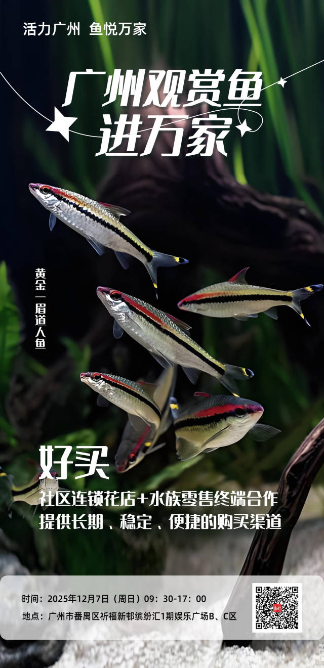 活力广州，鱼悦万家丨广州观赏鱼进万家走进番禺区祈福新邨