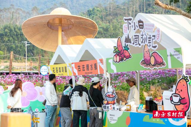 云城乡村美食(番薯)旅游季逛好物展销。 云城乡村美食(番薯)旅游季逛好物展销。