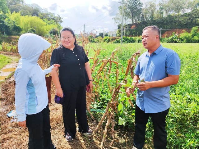 通讯员 蒙丽 供图