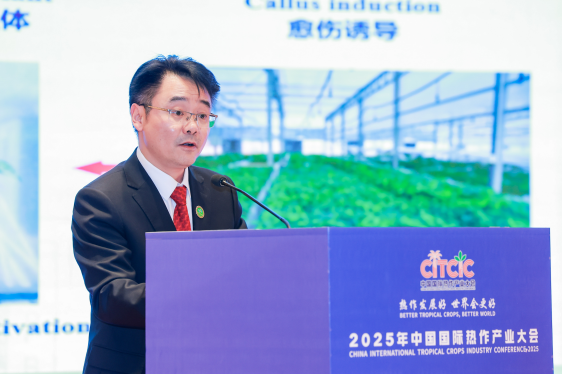 中国热带农业科学院副院长、国家天然橡胶产业技术体系首席科学家李积华率先登台报告。